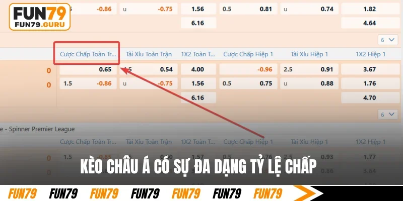 Kèo châu Á có sự đa dạng tỷ lệ chấp