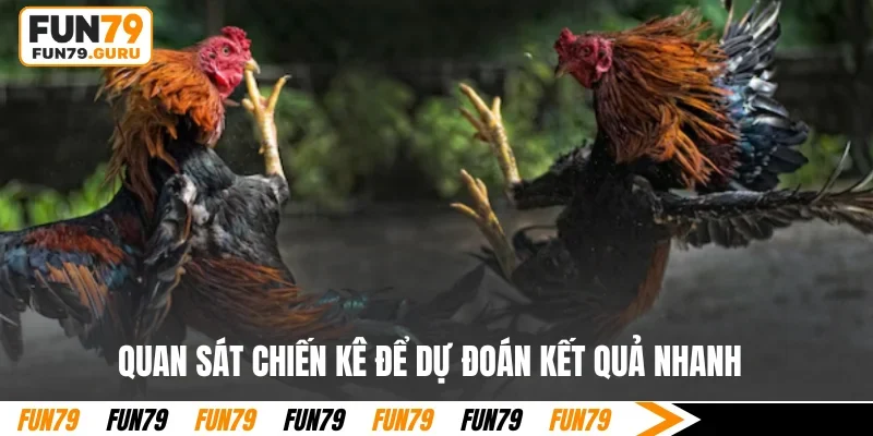 Quan sát chiến kê để dự đoán kết quả nhanh